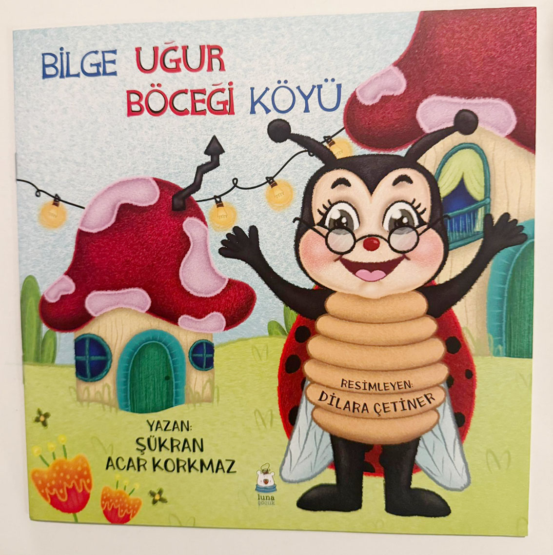 Bilge Ugur Bocegi Koyu-1