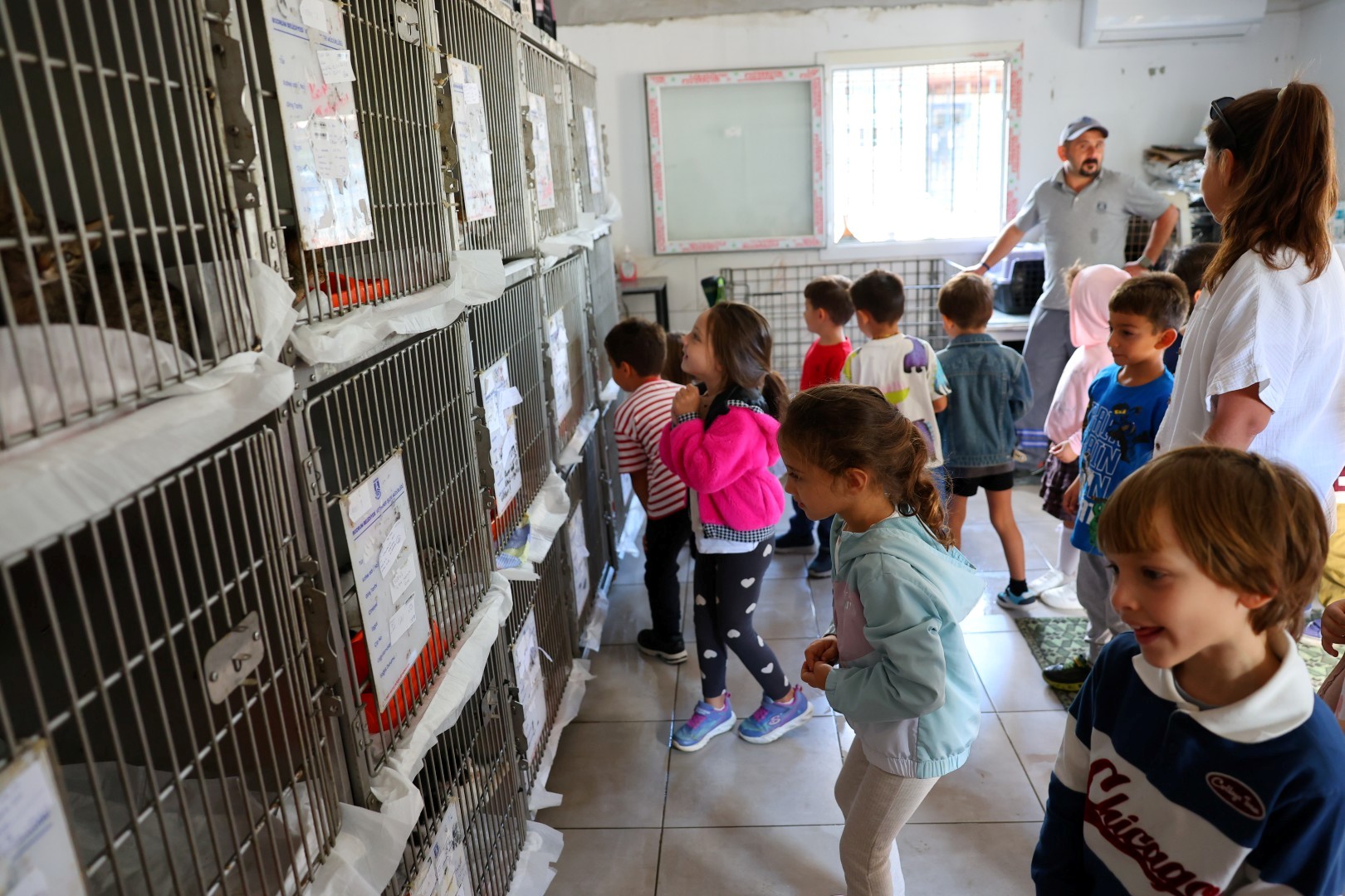 Bodrum Belediyesi Can Dostlarinin Yaninda (12)