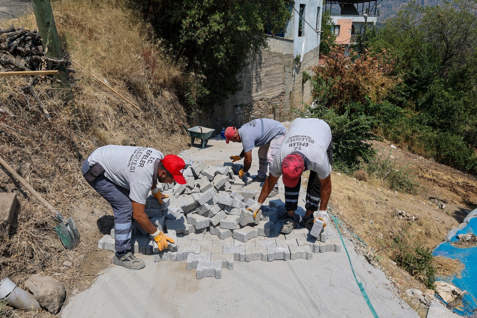 I M G 20251027 W A0022