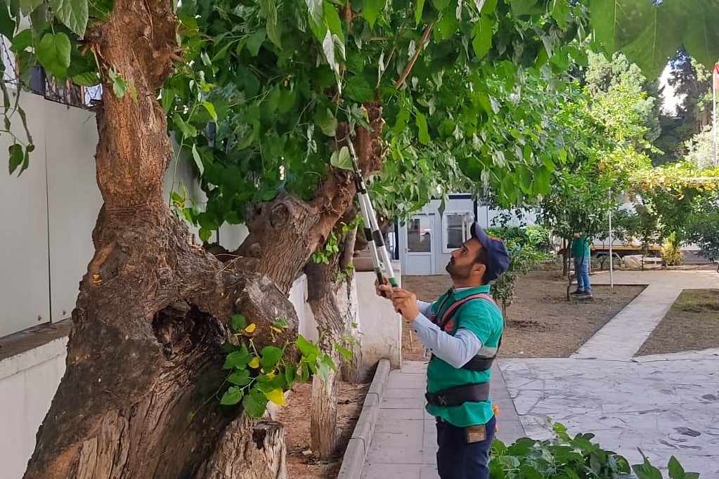 I M G 20251027 W A0026