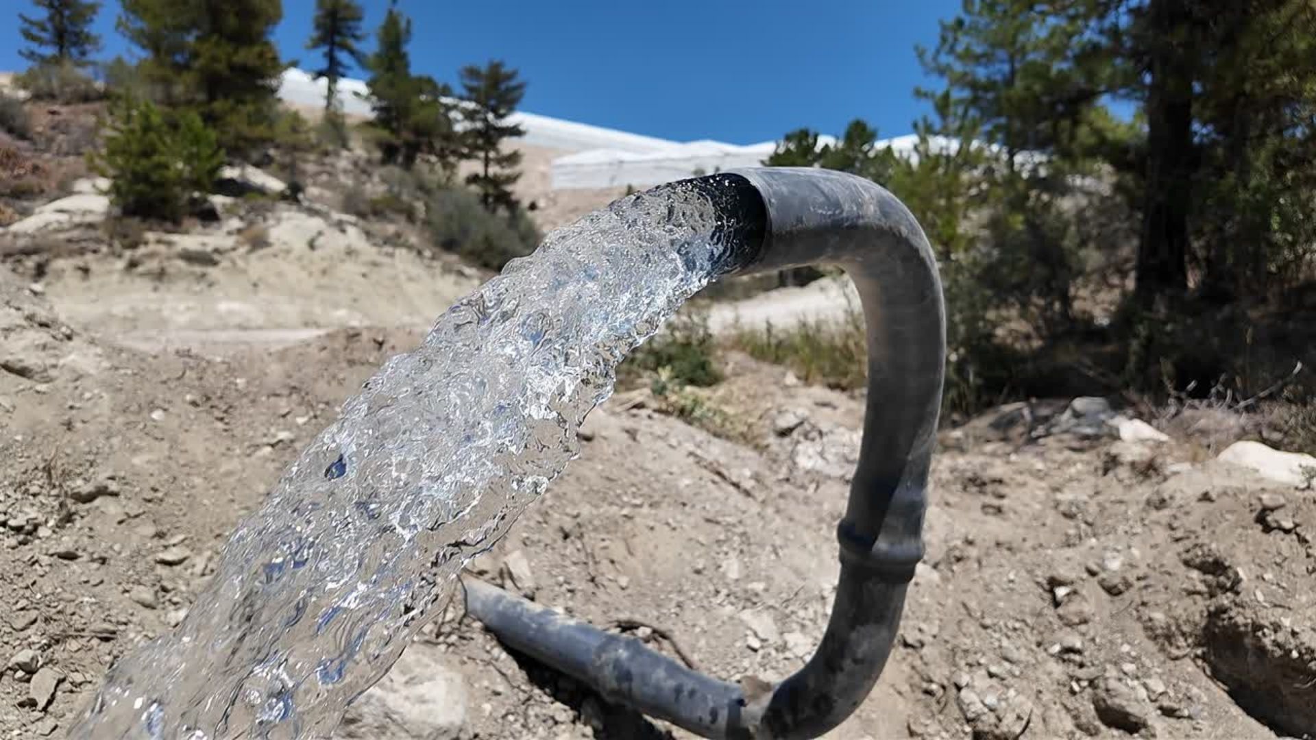 Büyükşehir Deski̇ Çameli Güzelyurt (1)