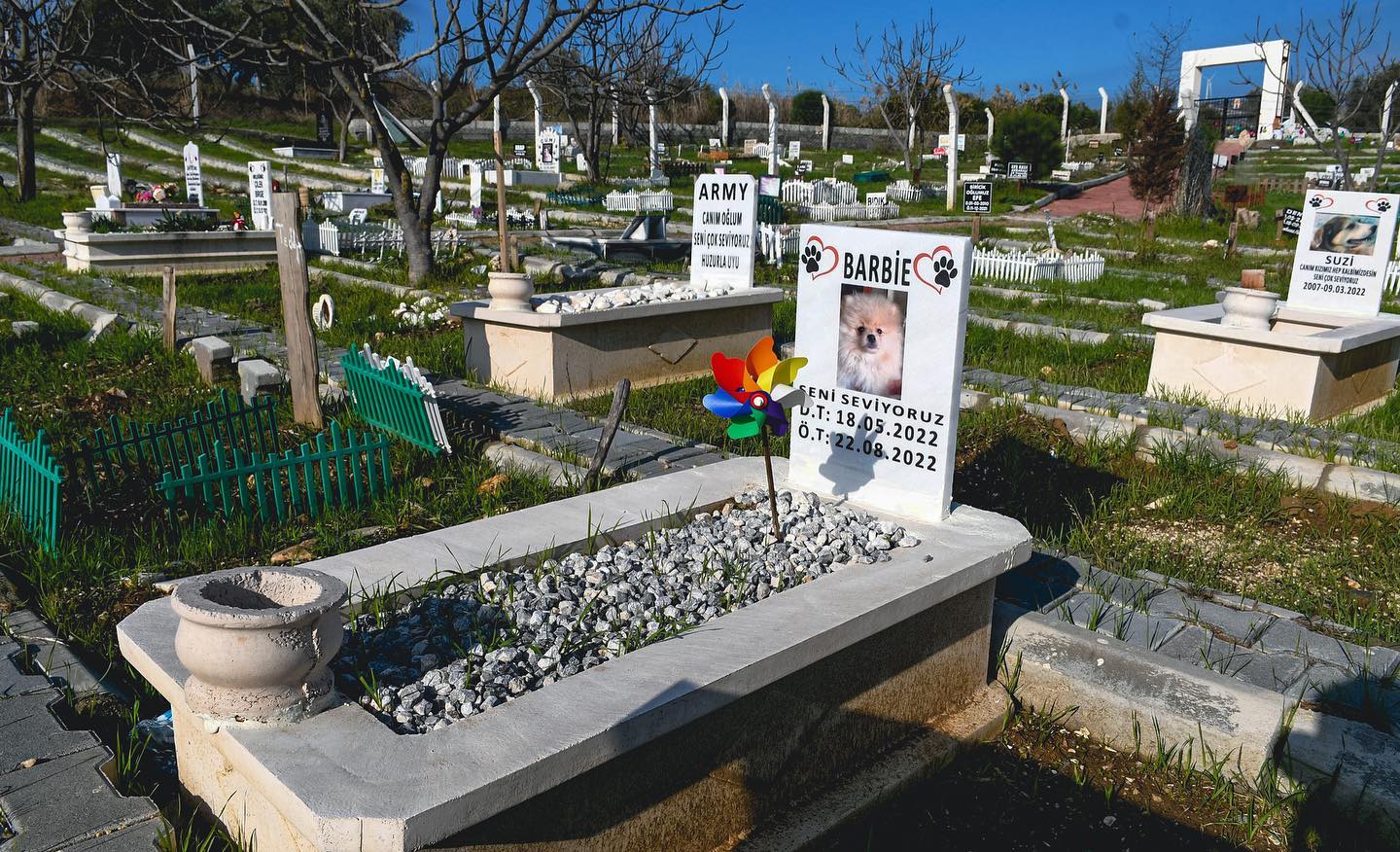 Can Dostlar Defin Alani (1)