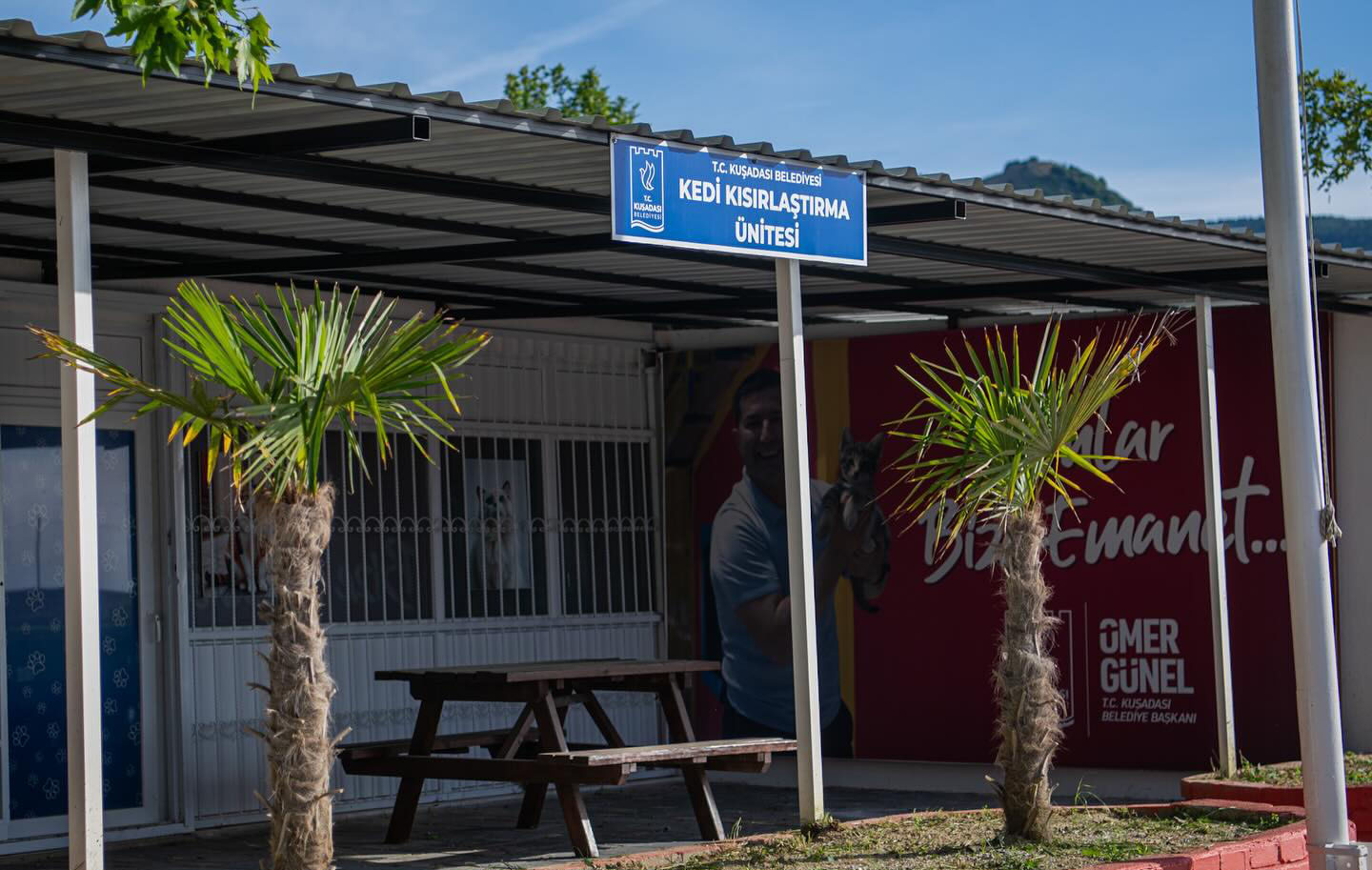 Kedi Kisirlastirma Davutlar