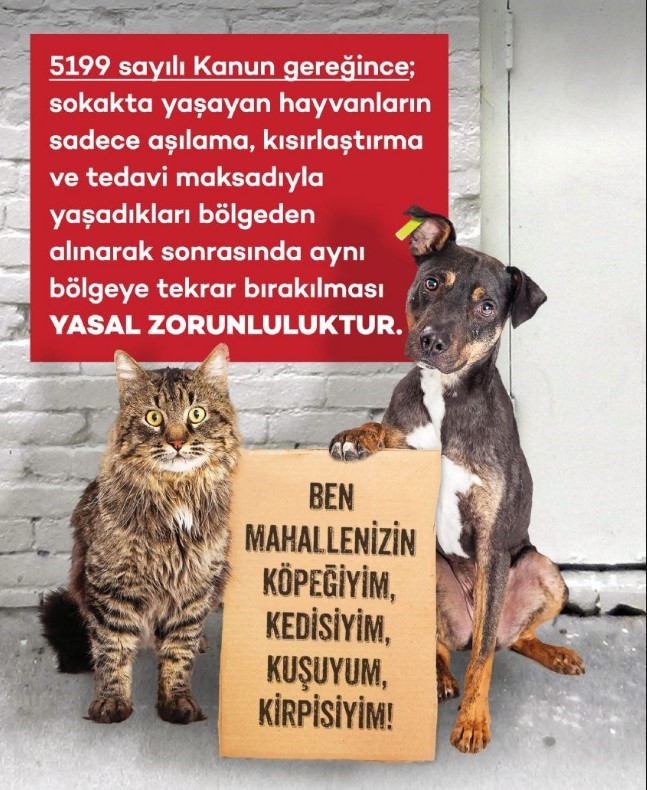 Abb6C06B 3D4E 4488 B8Fa 27242615F25F