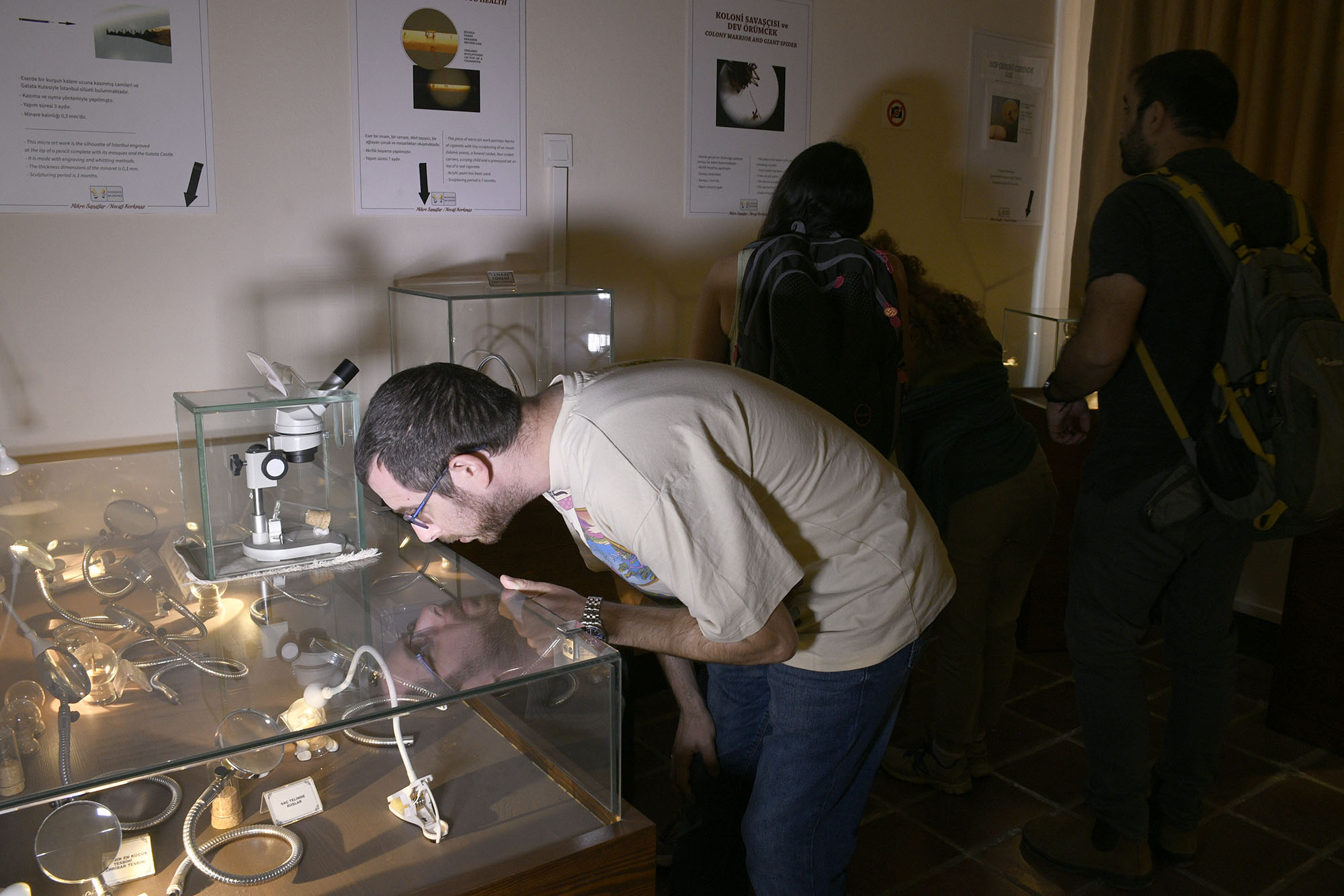 Mikro Minyatür (13) (1)