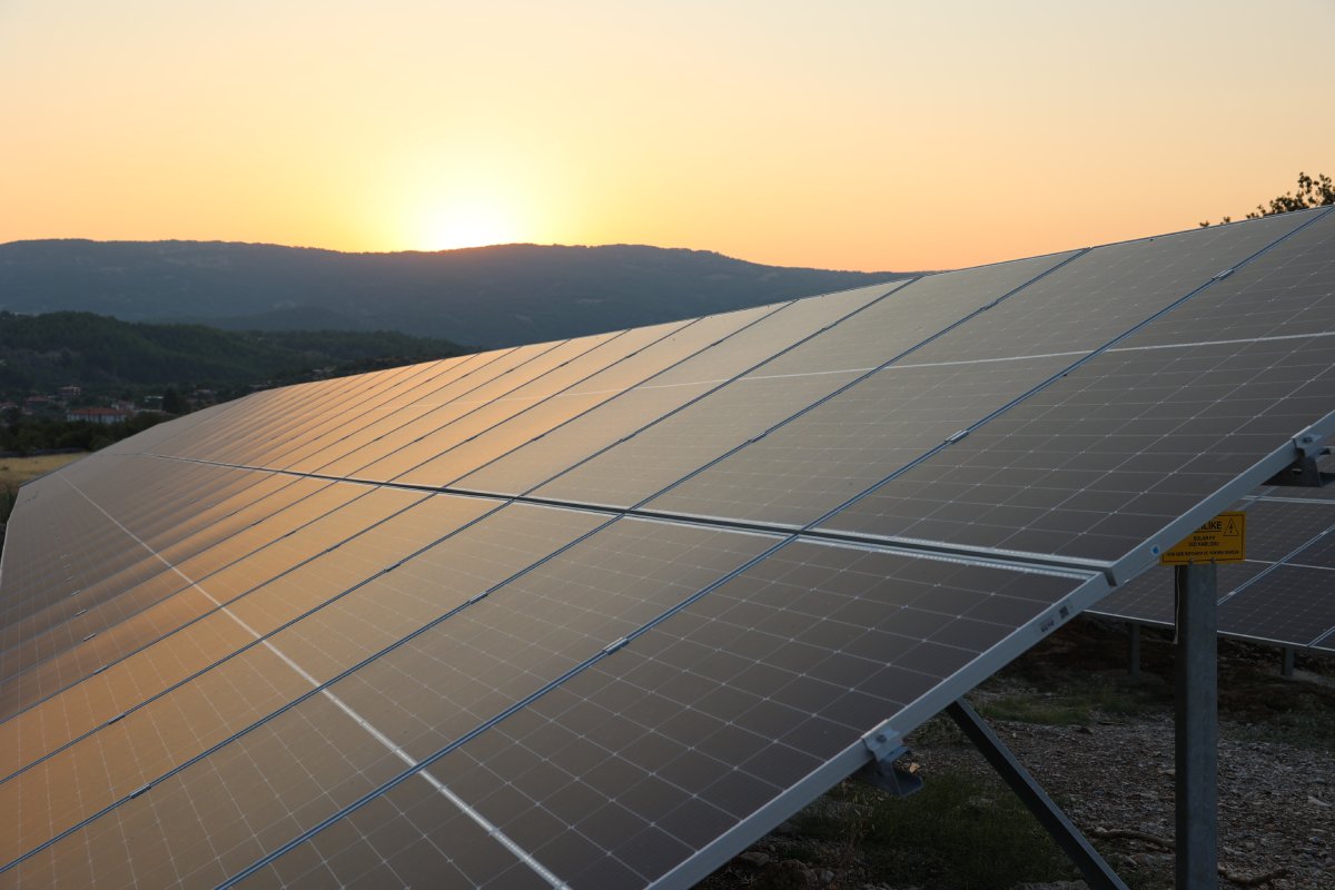 Muski̇, Enerjisini Güneşten Alıyor (9)