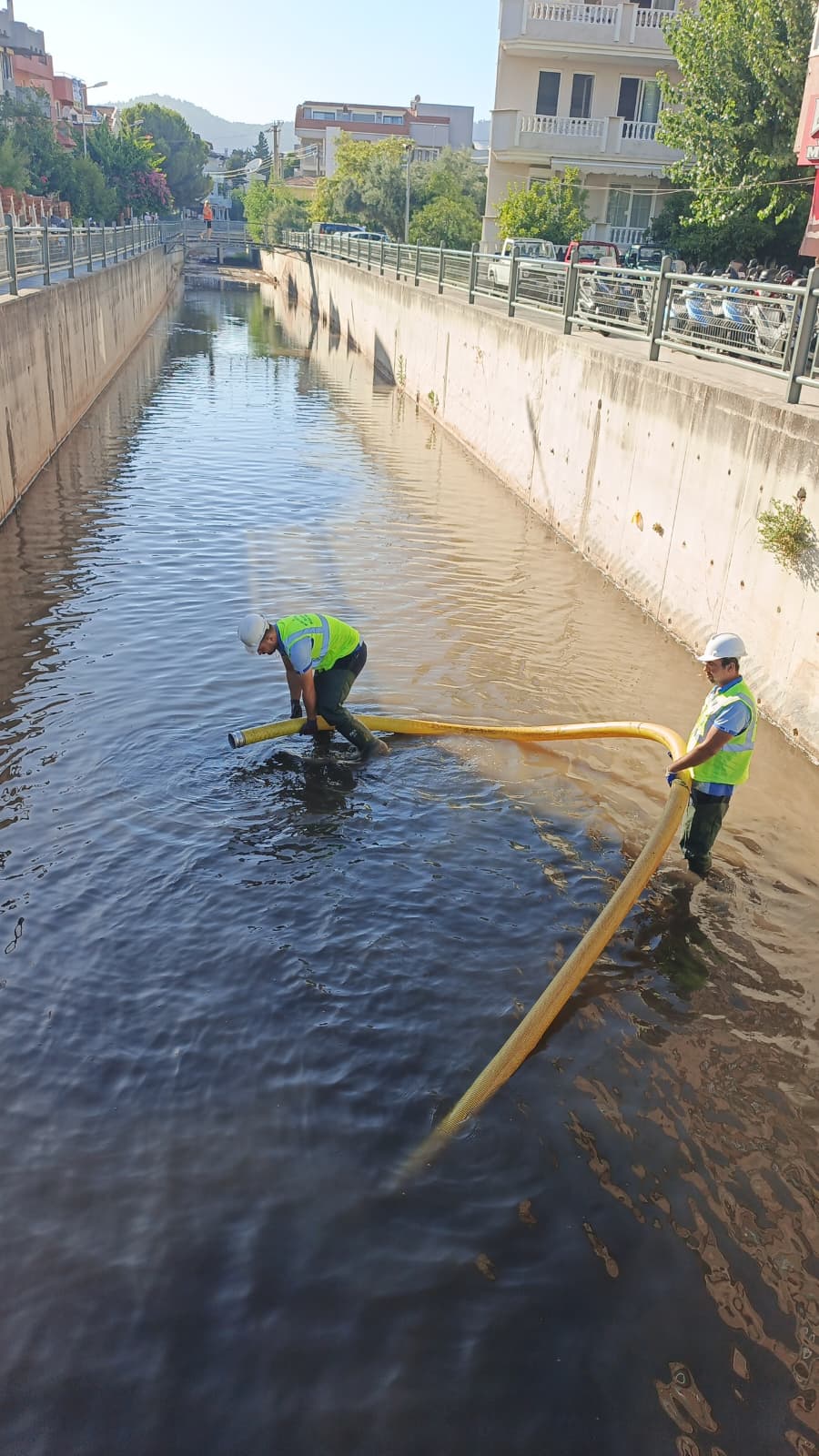 Muski̇ Ketenci Deresini Temizledi (1)