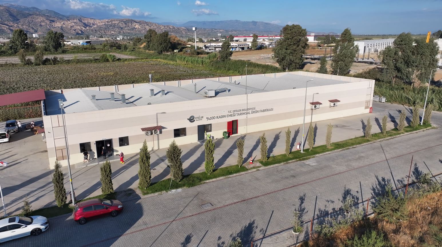 Whatsapp Image 2026 01 22 At 11.31.19