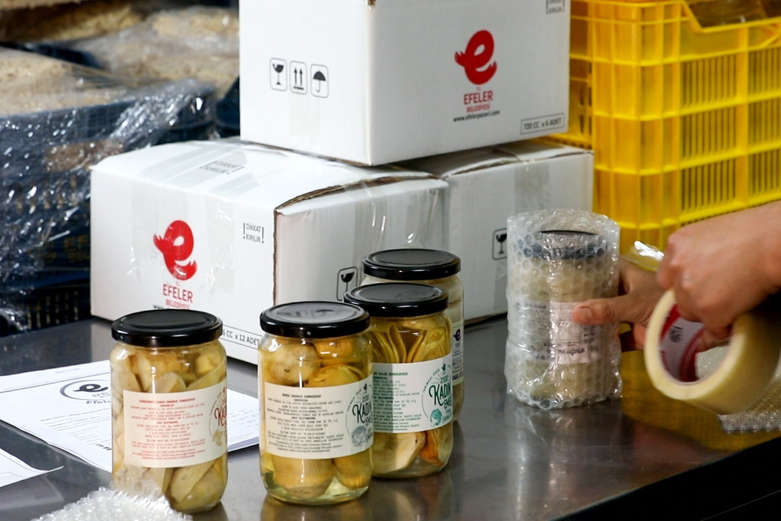 Whatsapp Image 2026 01 22 At 11.31.23