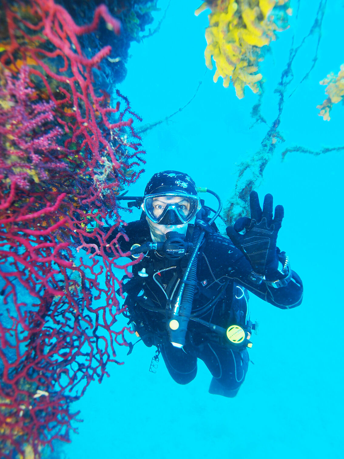 00 Kirmizi Mercanlar