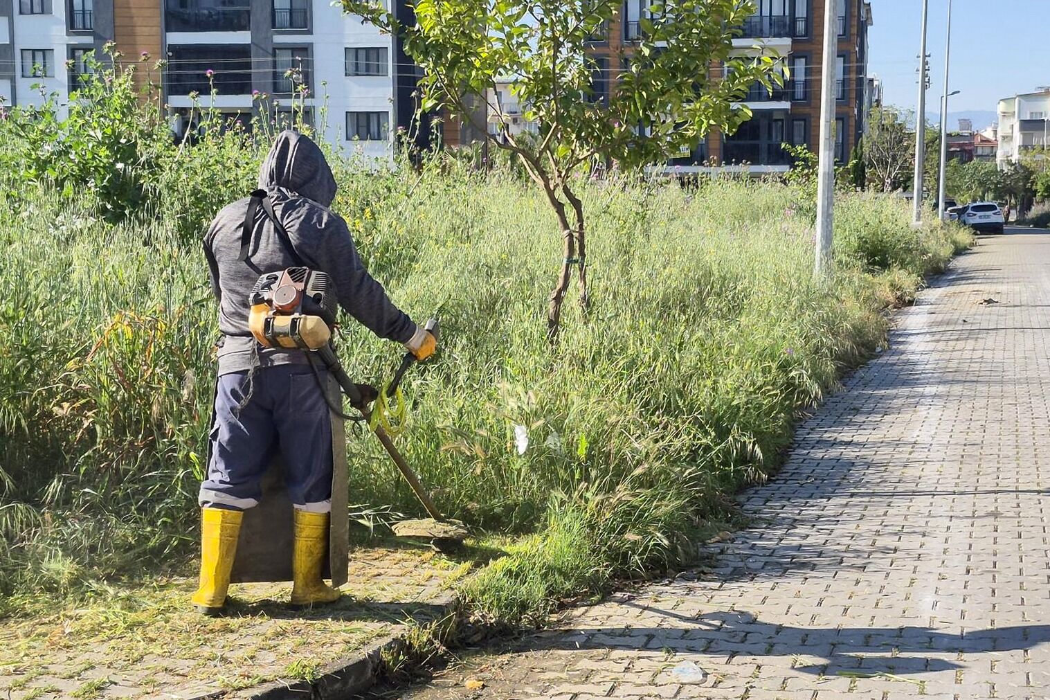 Whatsapp Image 2026 04 22 At 16.47.36 (3)