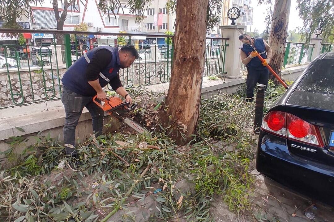 Whatsapp Image 2026 04 29 At 14.46.32