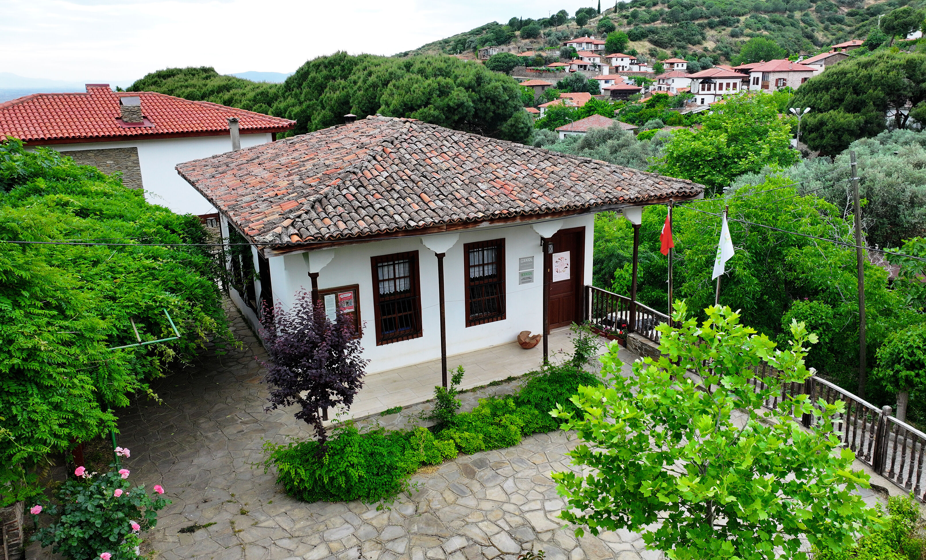 Birgievi02 2024