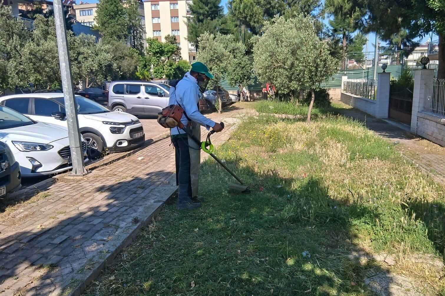 Whatsapp Image 2026 06 02 At 18.25.52 (3)