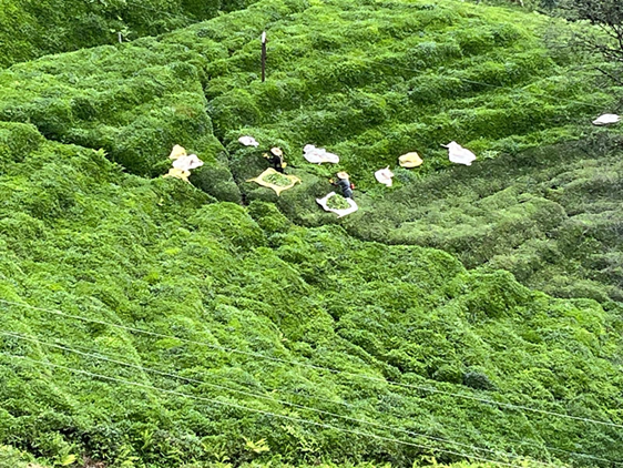 Karadeniz (1)