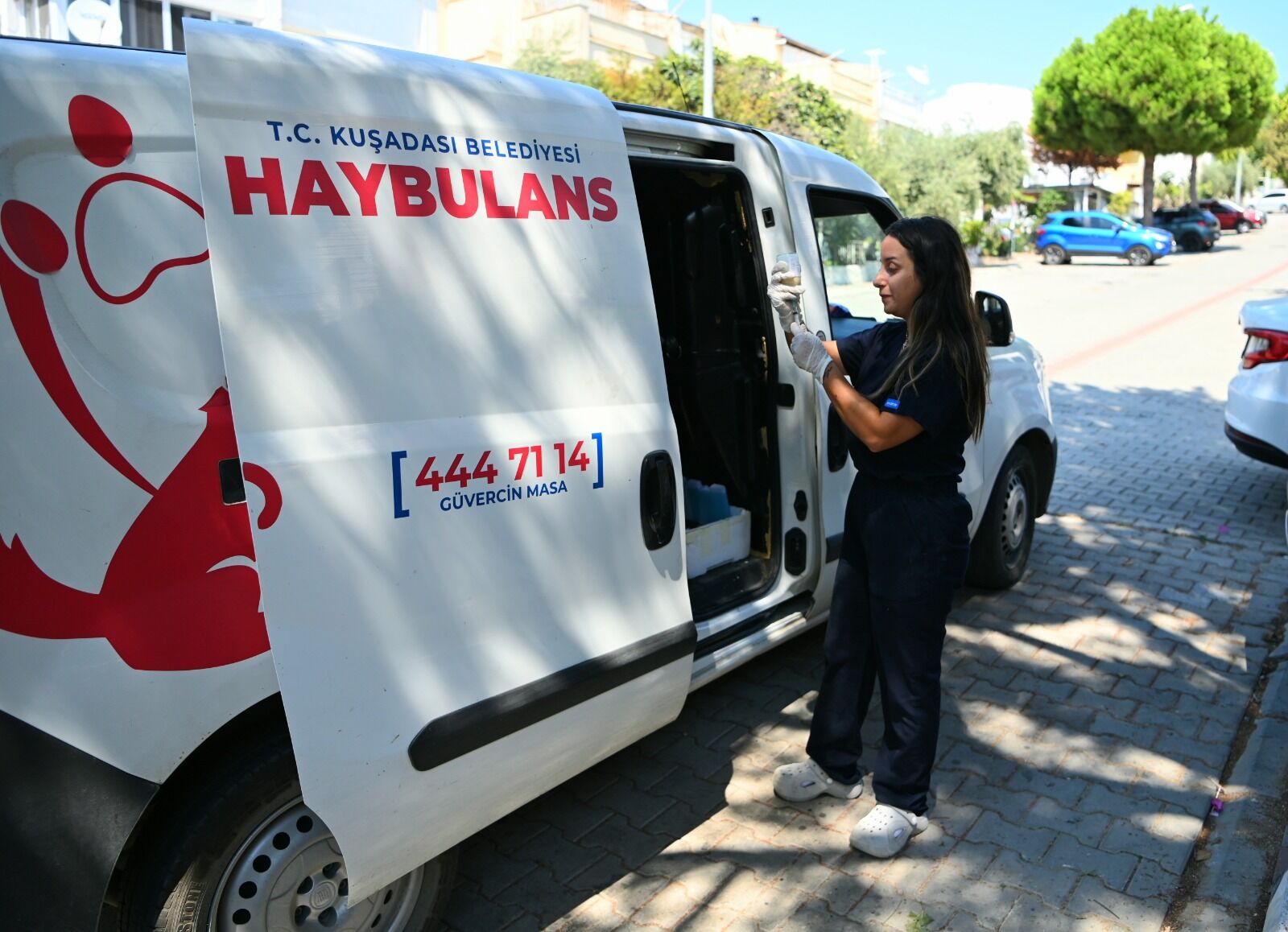 Haybulans (6)