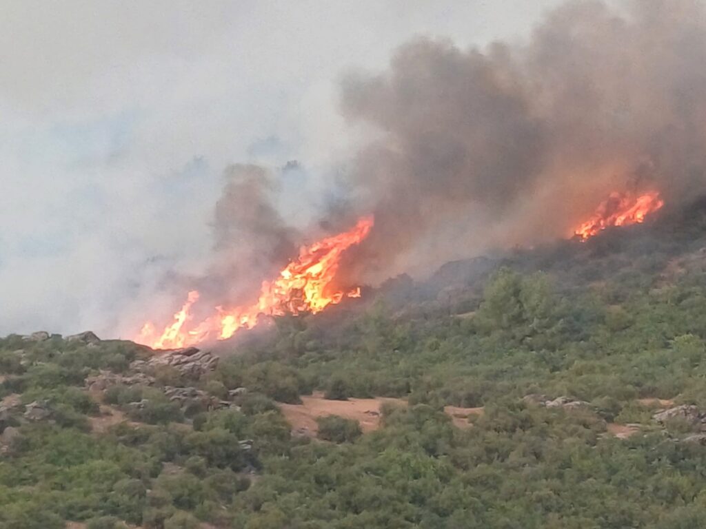 Manisa'da yangın 90 saattir sürüyor
