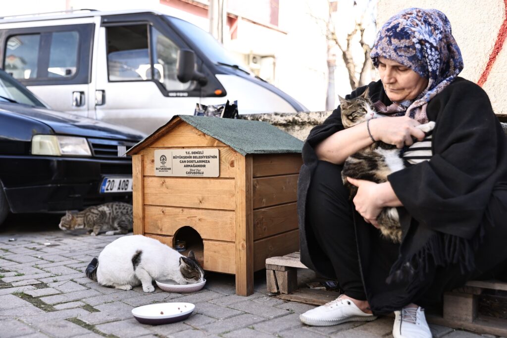 Hayvanseverler istedi, başkan Çavuşoğlu sözünü tuttu