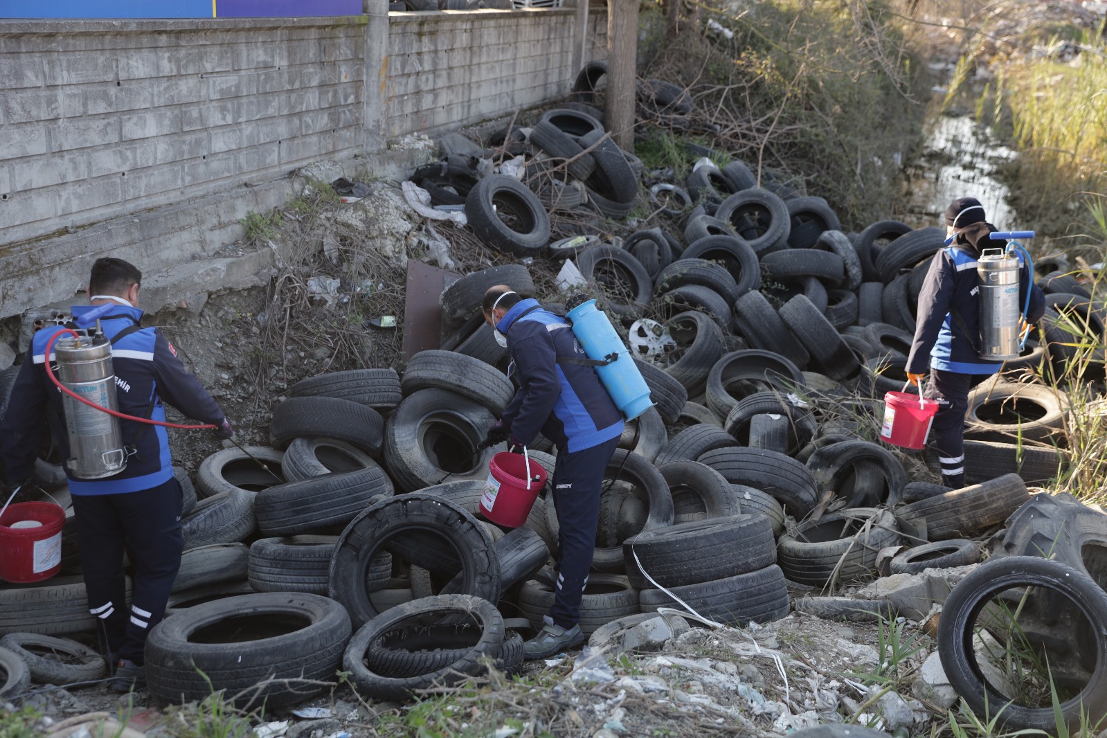 Muğla Dalaman Belediyesi, Muğla Büyükşehir Belediyesi’nin destekleriyle sivrisinek ile mücadele çalışmalarına ara vermeden devam ediyor.