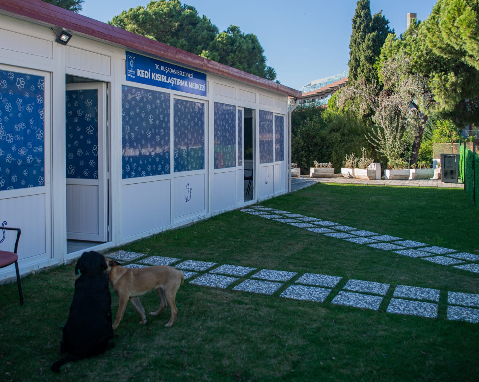 Davutlar Mahallesi için Başkan Ömer Günel'in görev süresi boyunca sokak hayvanlarına verdiği önem ve gösterdiği hassasiyet ile ön planda.